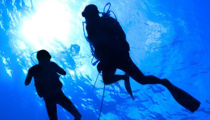 Pantelleria | Diving Cala Levante per immersioni
